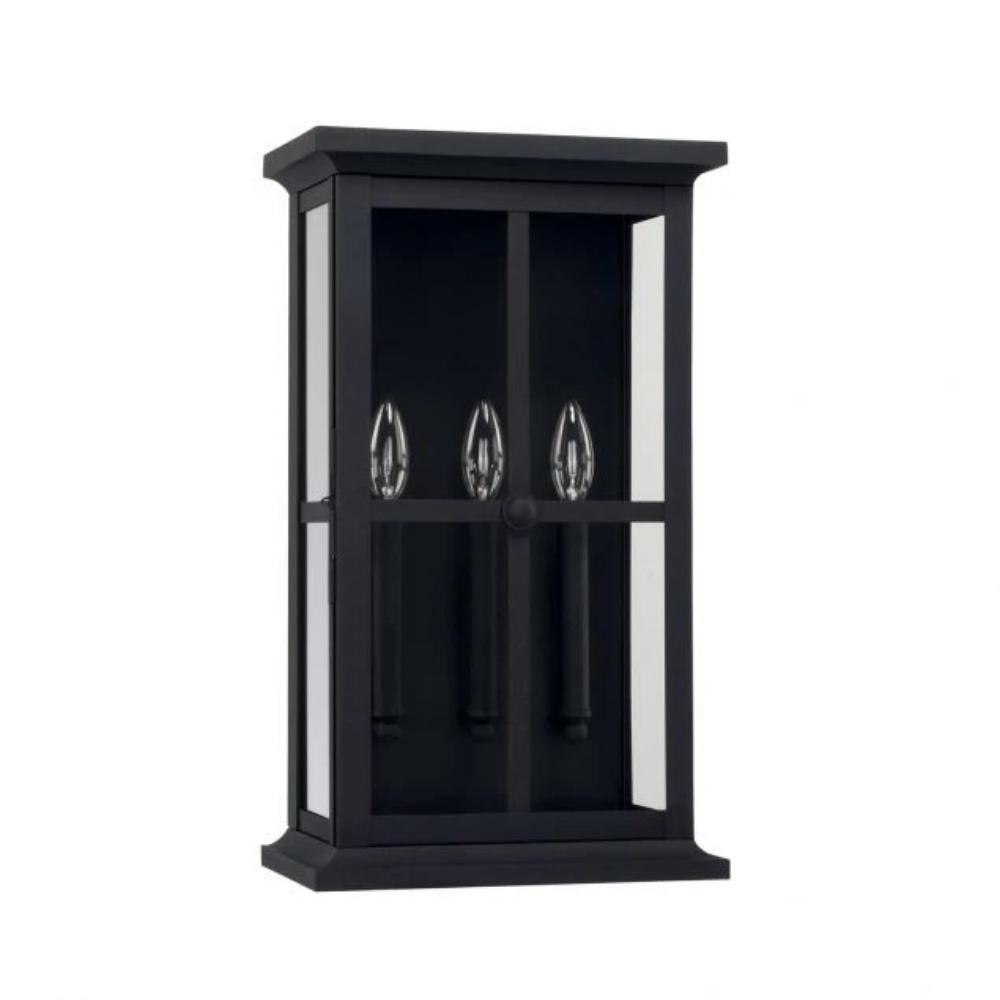 Essary Outdoor Wall Lantern